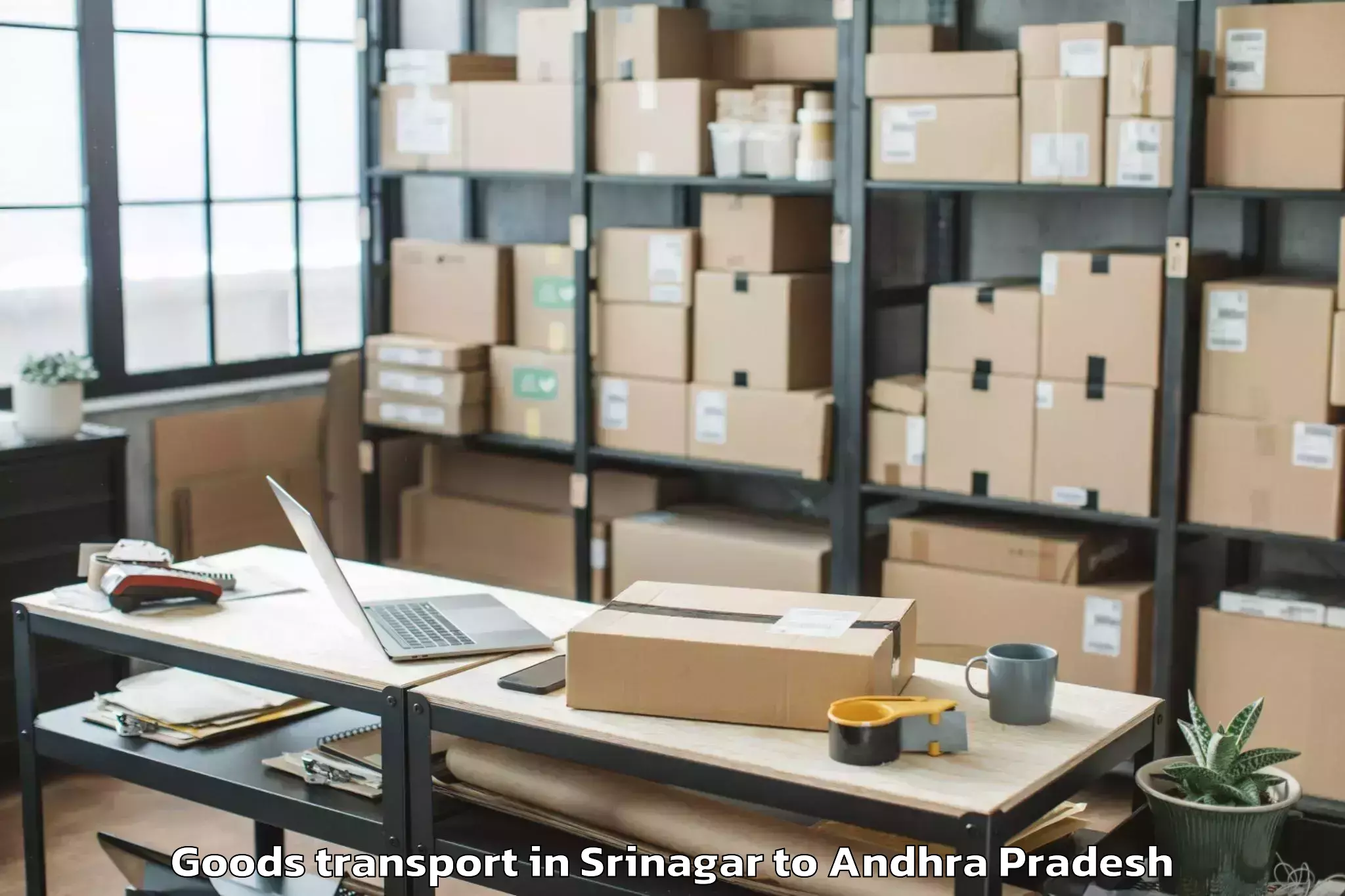 Top Srinagar to Ongole Goods Transport Available